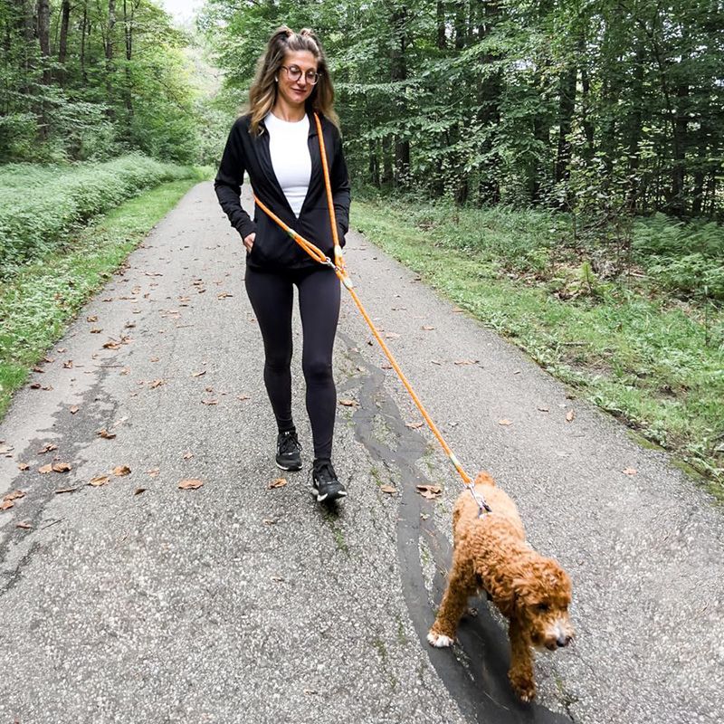 Running Gear Organizer - Reflective Hands-Free Dog Leash for Hiking,